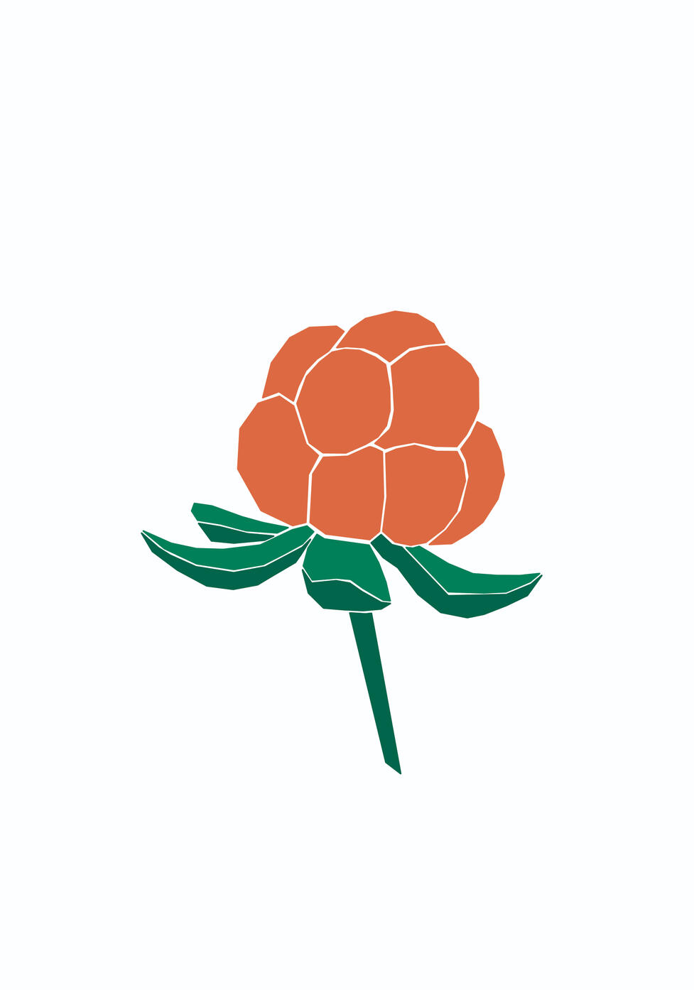 Bild av ett hjortron gjord i Affinity Designer.