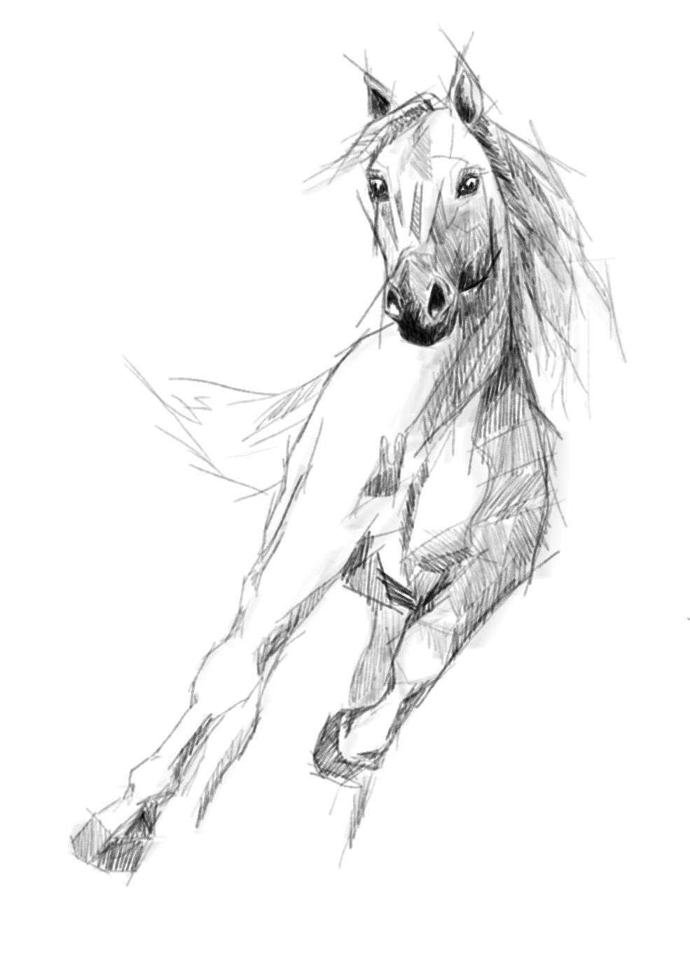 Häst springande framifrån gjord i Procreate.